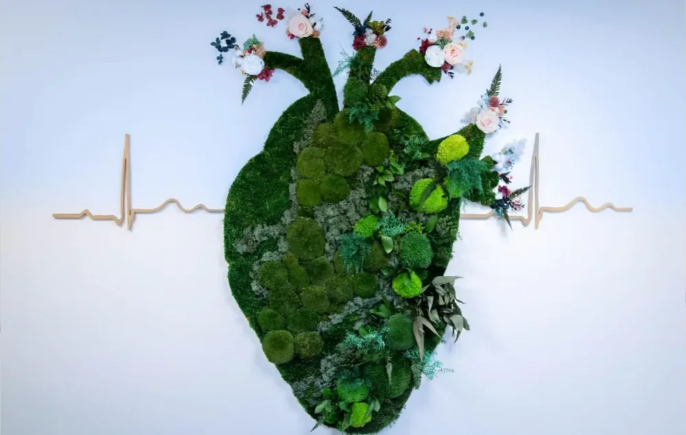 Cœur mural du cabinet de cardiologie